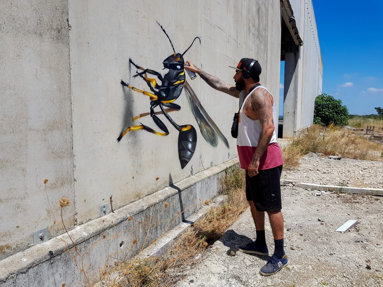 odeith and mud wasp