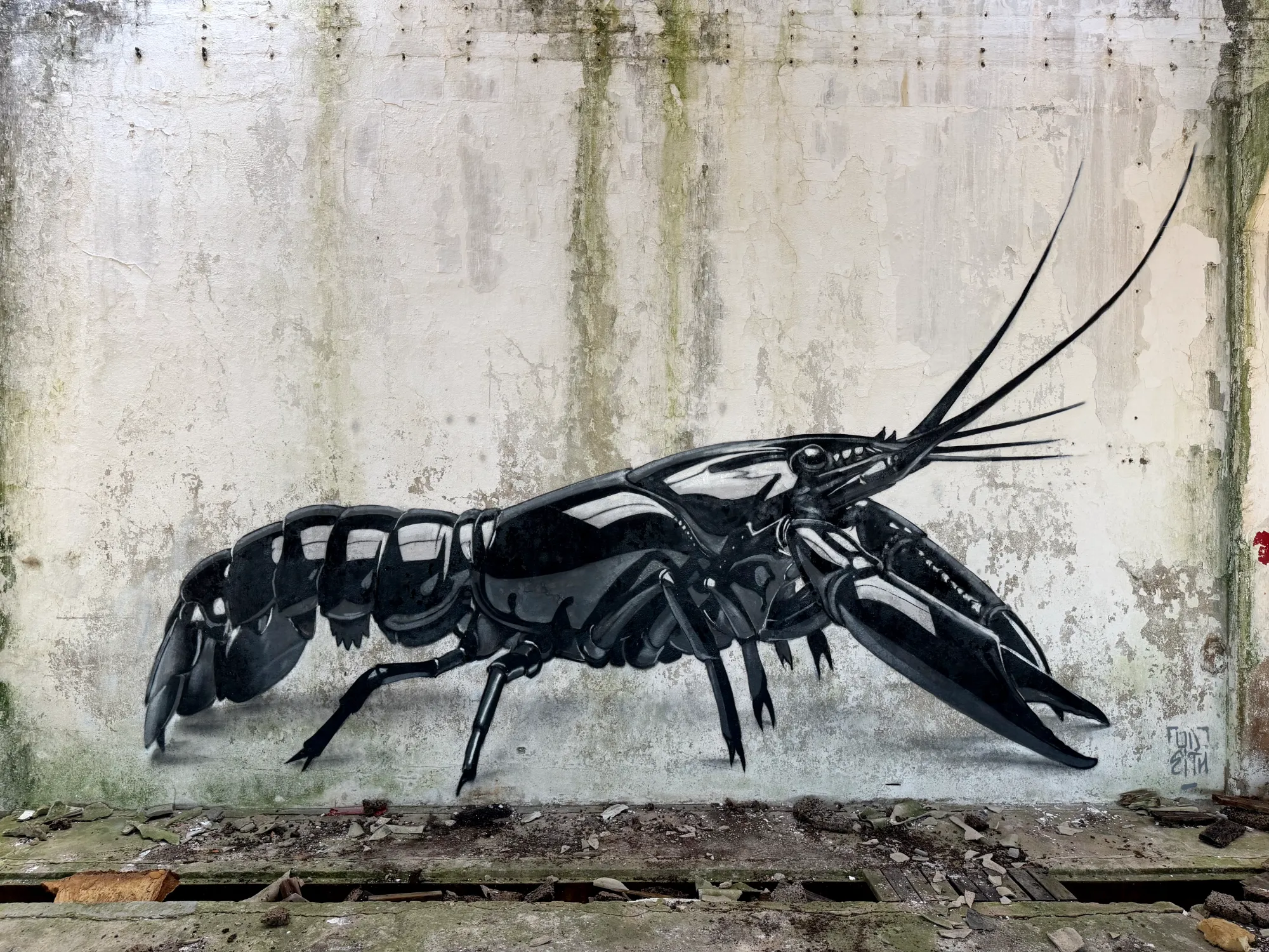 odeith black wet paint lagostim